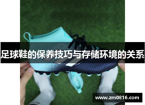 足球鞋的保养技巧与存储环境的关系